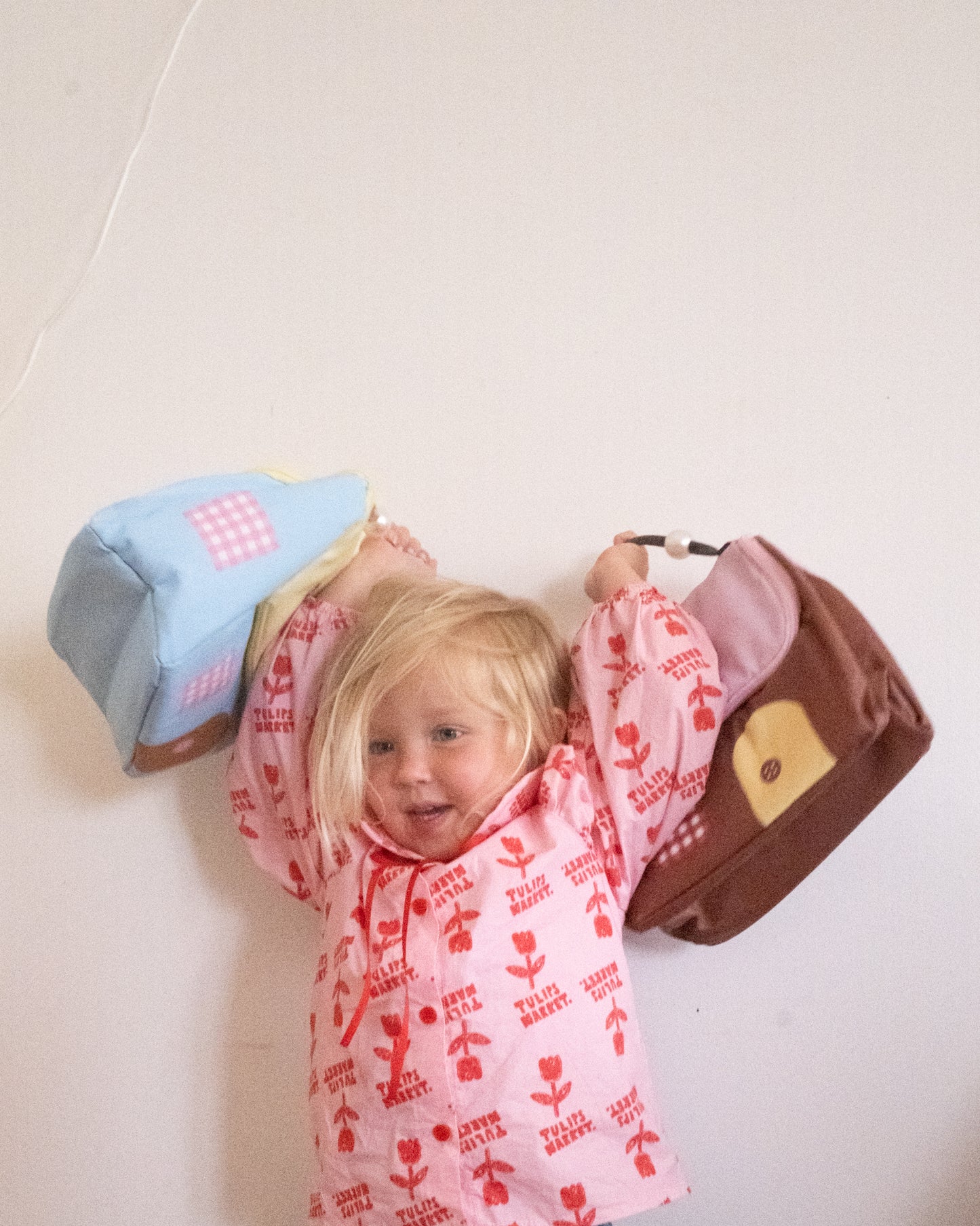 room lunch bag
