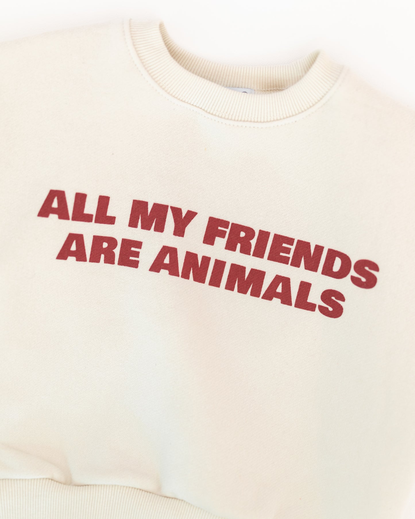 animals sweater