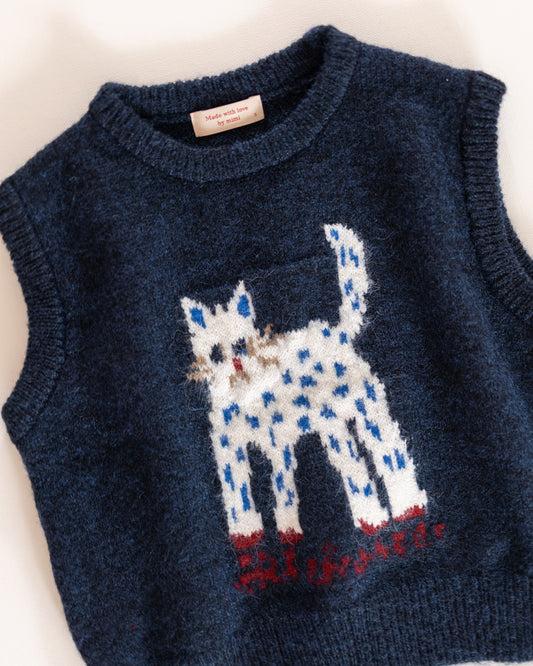 kitten vest