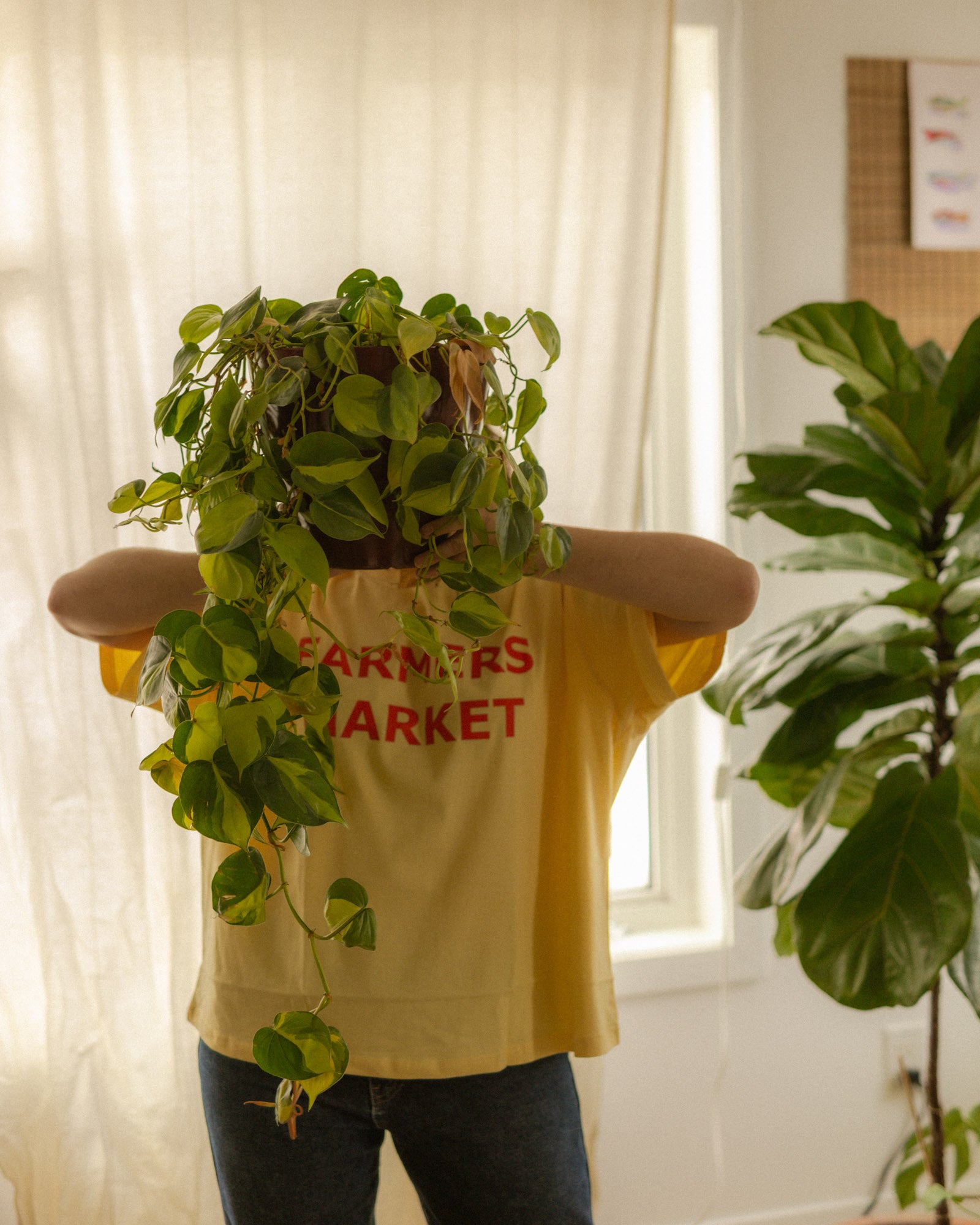 Person wearing a yellow 'Farmers Market' t-shirt holding a potted plant indoors.
