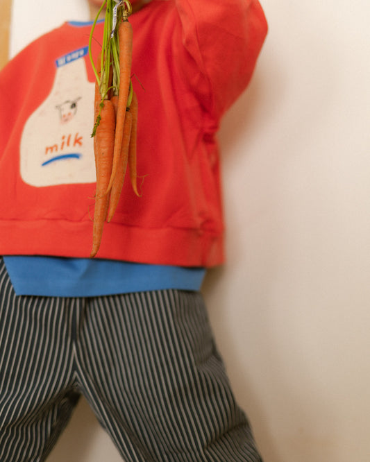 boy wearing a red sweatshirt with a milk graphic holding carrots against a plain background