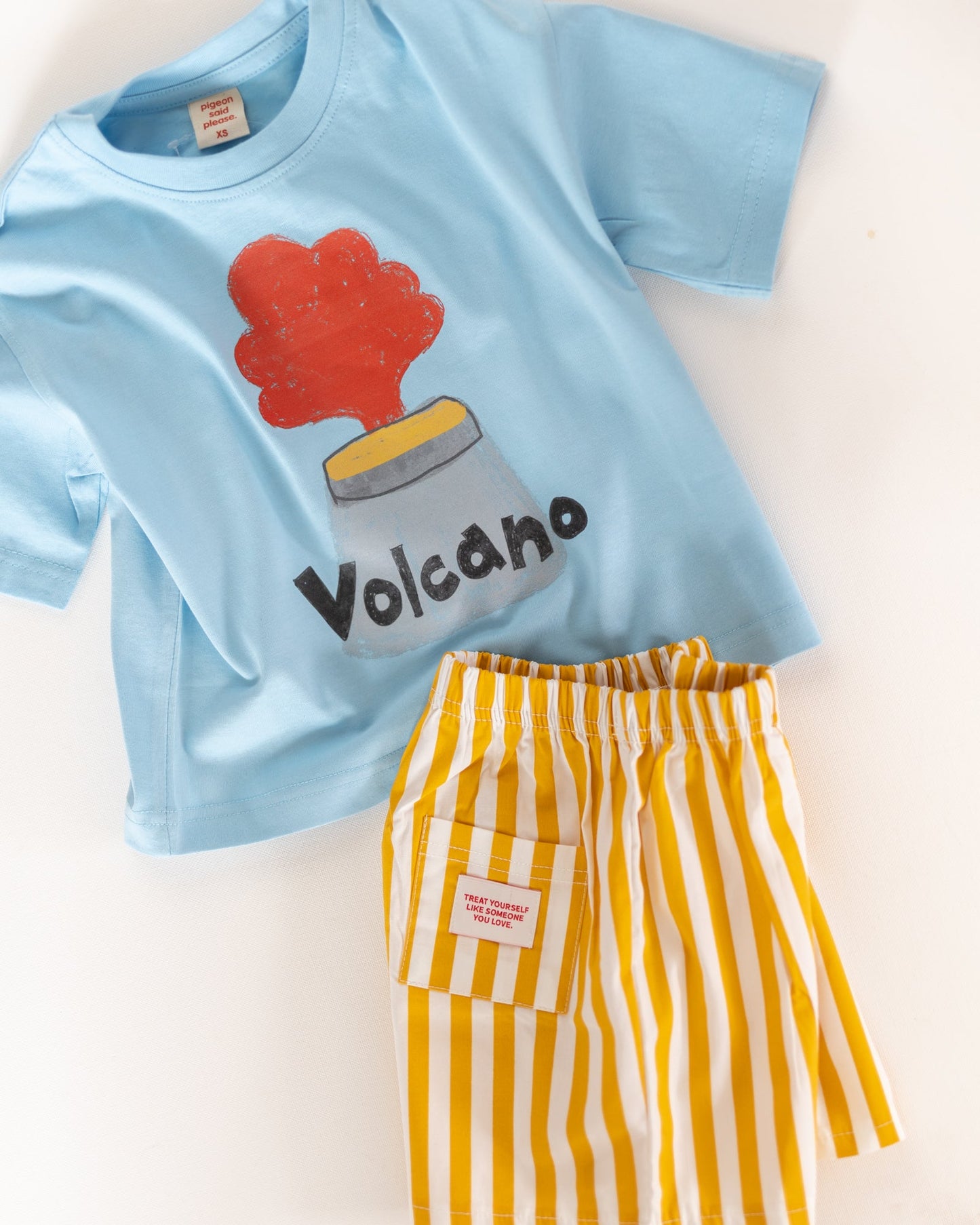 volcano tee - Pigeon said please